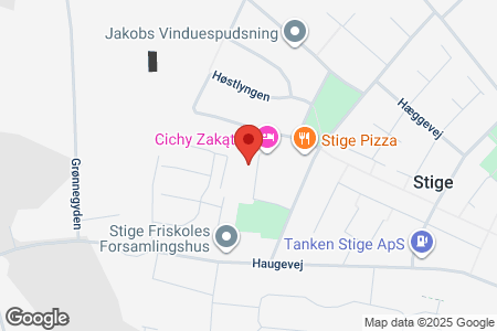 Hedelundvej 16 odense n